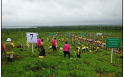 CBT Activities (Chin State)
